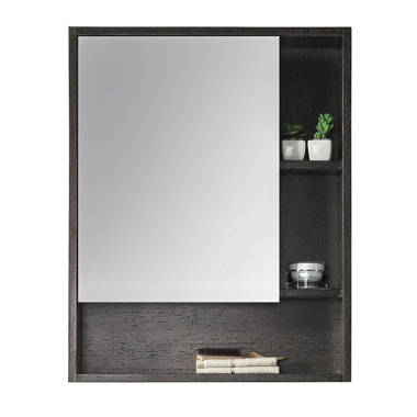 Black matte deals medicine cabinet